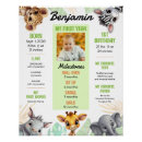 Recherche de animaux zoo posters Baby boy