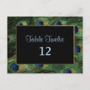 Search for peacock feathers postcards Floral
