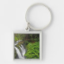 Search for lush keychains Usa