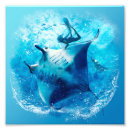 Search for stingray posters Water