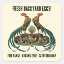 Search for free range stickers Backyard chickens
