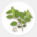 Search for oregano stickers Food