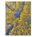 Search for environment notebooks Tree