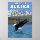 Search for cordova posters Lantern