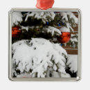Search for canada ornaments Winter