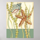 Search for nautical sea posters Chariklia zarris