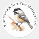 Search for cute chickadee stickers Black capped chickadee