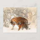 Recherche de bébé tigre cartes postales Hiver
