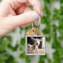 Search for baby lamb keychains Livestock