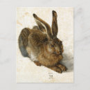 Recherche de durer d albrecht cartes postales Faune