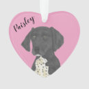 Search for pointer dog ornaments German shorthaired pointer