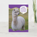 Search for llama birthday cards Animal