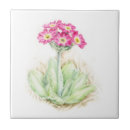 Recherche de beaux arts carreaux Aquarelle