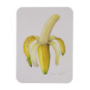 Recherche de banane magnets Jaune