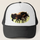 Recherche de poulain casquettes Chevaux