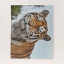 Recherche de sibérie puzzles Chat