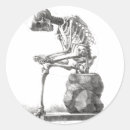 Search for vintage anatomy stickers Skeleton