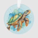 Search for turtles ornaments Pet
