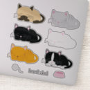 Recherche de grands chats autocollants Fentes