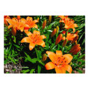 Recherche de au asiatique posters Printemps