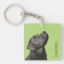 Search for vector square keychains Illustration