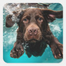 Search for joyful design stickers Dog products