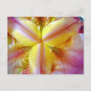 Recherche de iris jaune cartes postales Rose