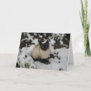 Search for snow scene christmas cards Snowy