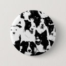 Recherche de race buttons Animal familier