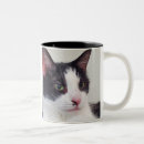 Search for good kitty mugs Feline