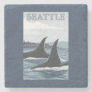 Search for whales coasters Orca