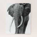 Search for pencil drawing puzzles Wildlife