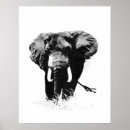 Search for african home decor posters Elephant
