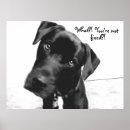 Search for animal shelter posters Neuter