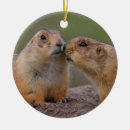 Search for animal lover ornaments Cute animals