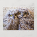 Recherche de de bff cartes postales Drôle