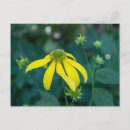 Recherche de jaune vert cartes postales Nature