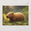 Search for capybara postcards Birthday