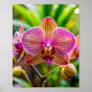 Recherche de orchidée art Mur