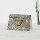 Search for slug cards Animals