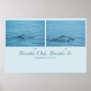 Recherche de wildlife posters Ocean