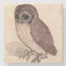 Search for owl coasters Unique