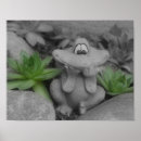 Recherche de froggie photographie Mignon