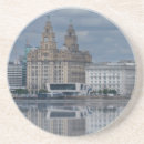 Search for reflective coasters Reflection