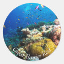 Search for great barrier reef stickers Coral