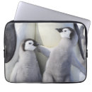 Search for penguin laptop cases Antarctica