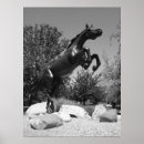 Search for western posters Bronco