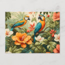 Recherche de plantes tropicales cartes postales Hibiscus