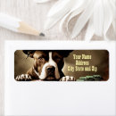 Search for cute country return address labels Rodeo