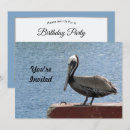 Search for pelicans invitations Water